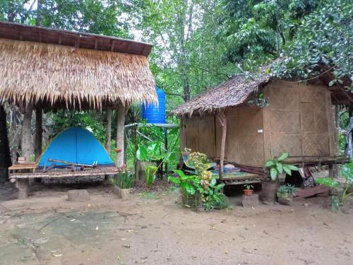 wassana camp and khai jungle experience centour