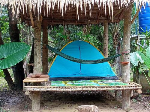 wassana camp and khai jungle experience centour