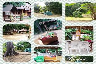 wassana camp and khai jungle experience centour