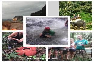 wassana camp and khai jungle experience centour