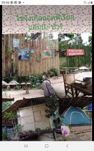 wassana camp and khai jungle experience centour