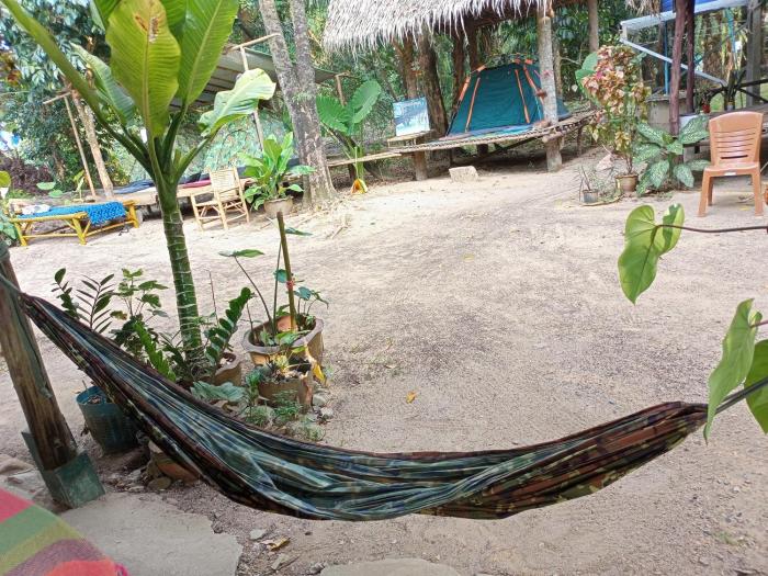 wassana camp and khai jungle experience centour