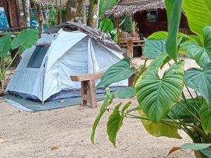 wassana camp and khai jungle experience centour