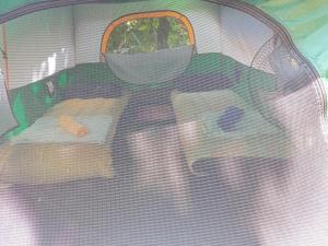 wassana camp and khai jungle experience centour