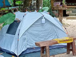 wassana camp and khai jungle experience centour