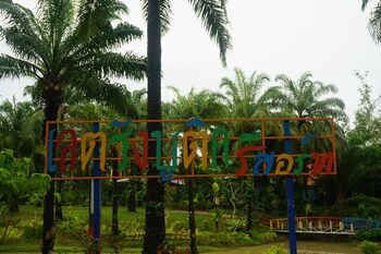 sikao