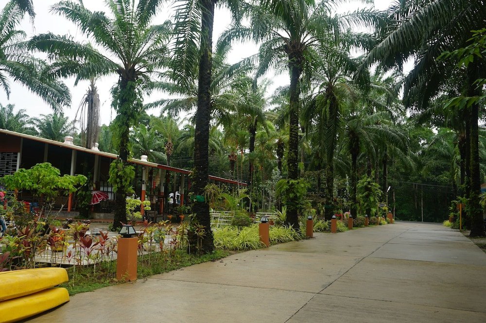 sikao