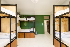 the neighbors hostel adults only