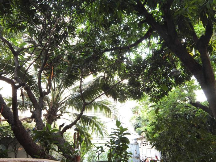 lamphu house bangkok