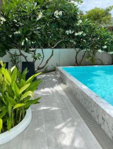 phi phi ton sai place