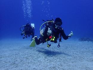 fire island guest house