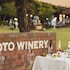 gotos conkana kingdom winery and resort