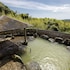 gotos conkana kingdom winery and resort