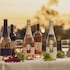 gotos conkana kingdom winery and resort