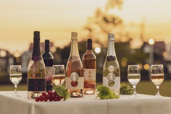 gotos conkana kingdom winery and resort