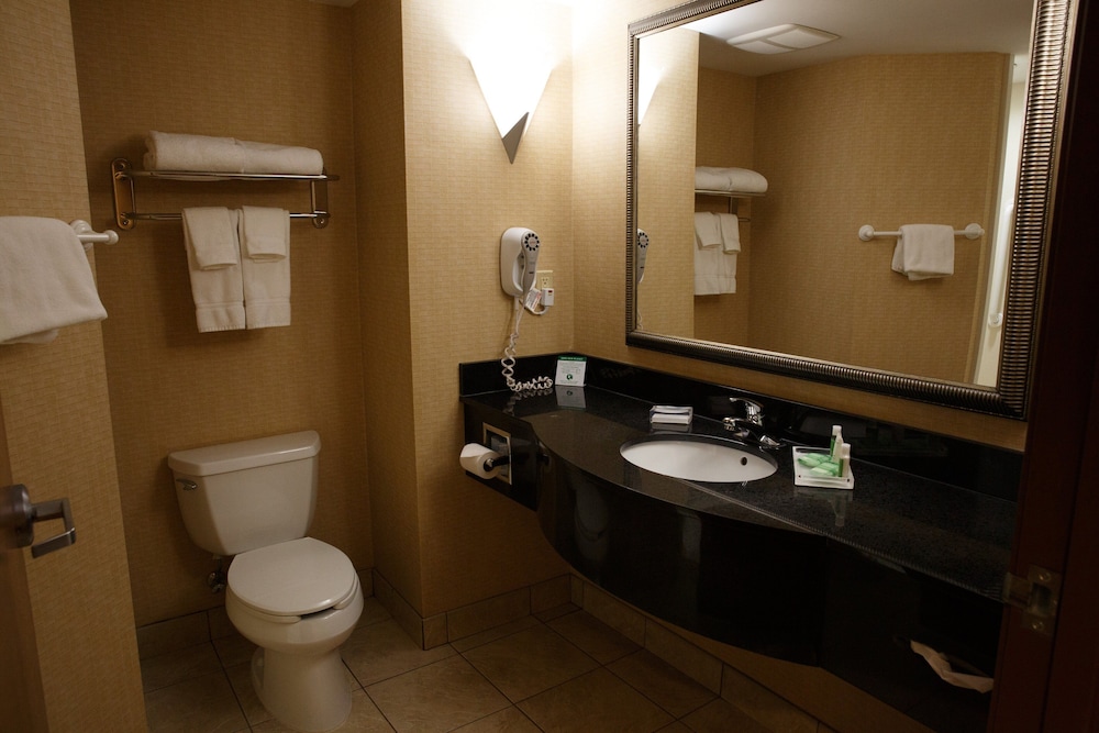 holiday inn battle creek by ihg