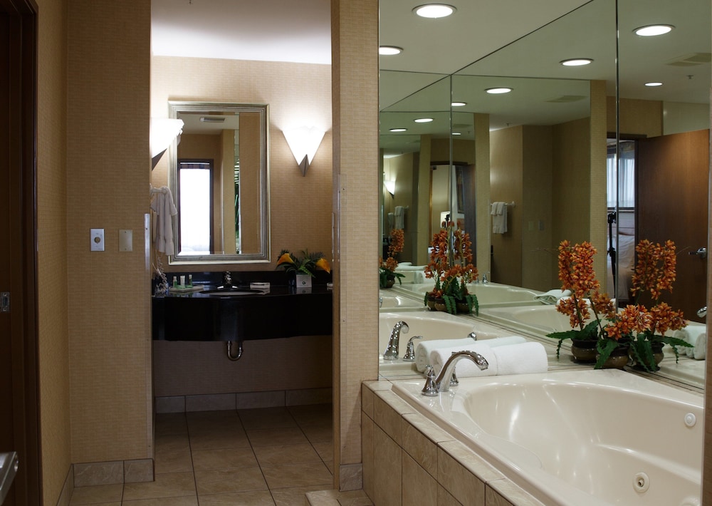 holiday inn battle creek by ihg