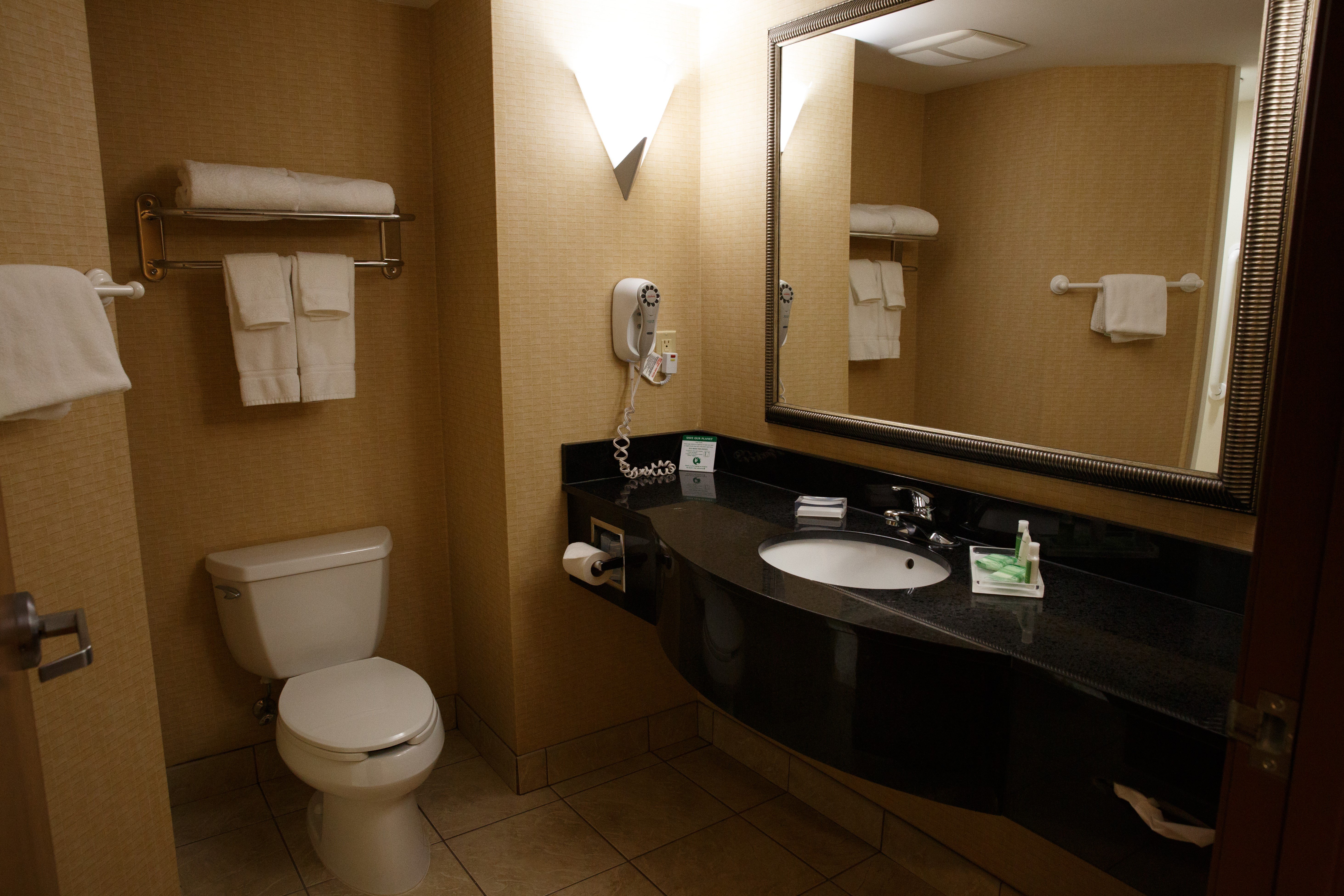 holiday inn battle creek by ihg