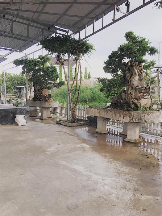 chi hieu hotel