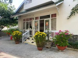 friends homestay hostel