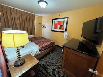 the royal victorian motel