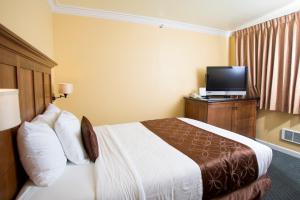 the royal victorian motel