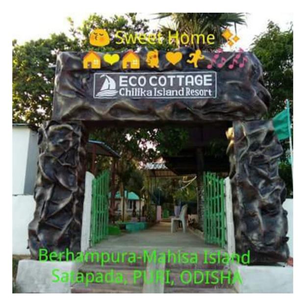 daavens island resort