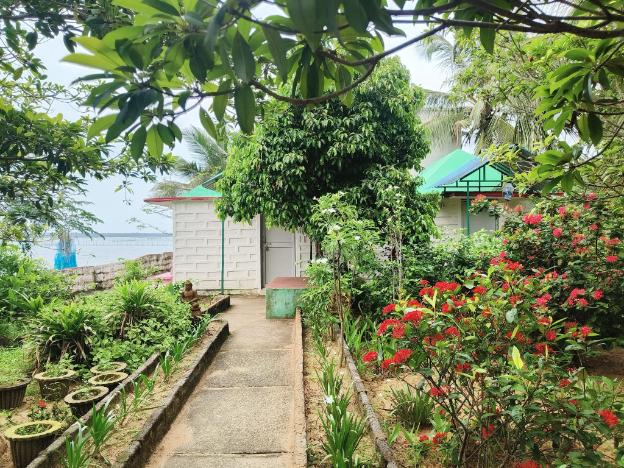 daavens island resort