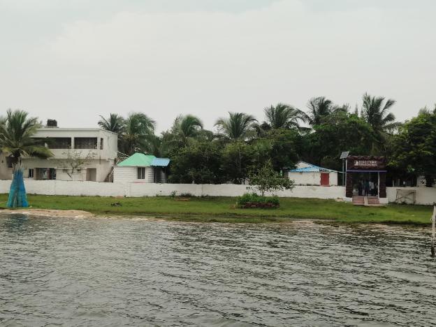 daavens island resort