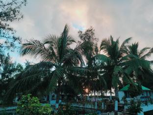 daavens island resort