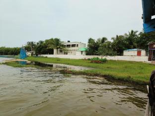 daavens island resort