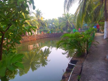 daavens island resort