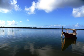 daavens island resort