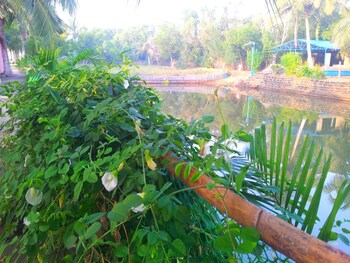 daavens island resort