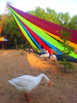 daavens island resort