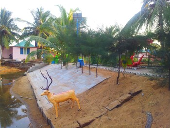 daavens island resort