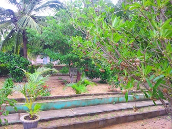 daavens island resort