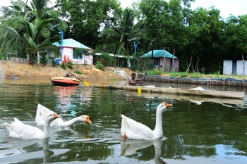 daavens island resort