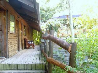 hazyview adventure backpackers