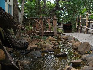 hazyview adventure backpackers