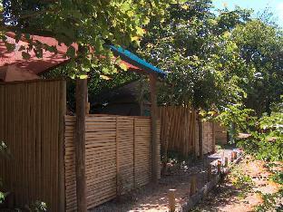 hazyview adventure backpackers