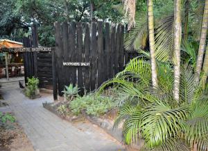 hazyview adventure backpackers