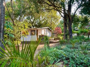 hazyview adventure backpackers