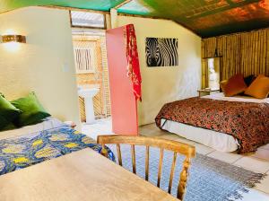 hazyview adventure backpackers