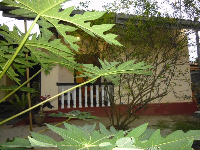 mamas villa by taprobane hostel