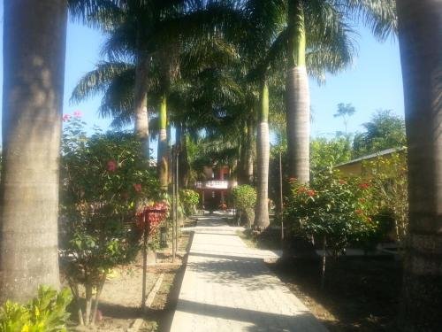 royal tiger luxury resort