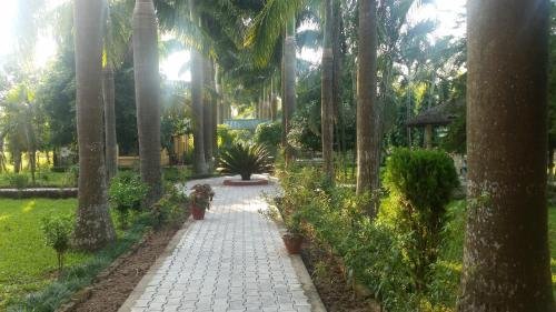 royal tiger luxury resort