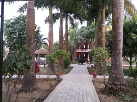 royal tiger luxury resort