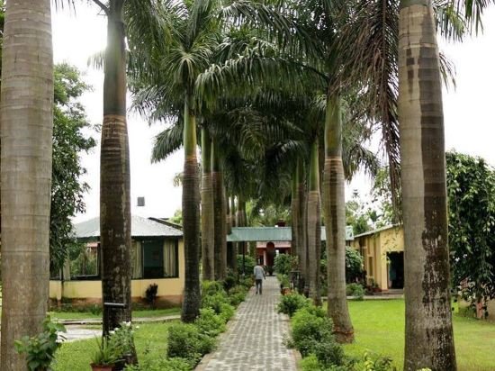 royal tiger luxury resort