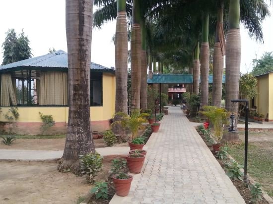 royal tiger luxury resort